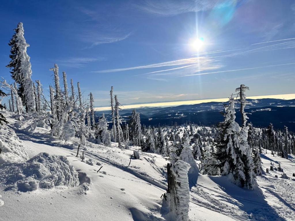 ザンクト・オスヴァルトにあるApartments bei Familie Lieblの雪に覆われた木々と空の太陽の斜面