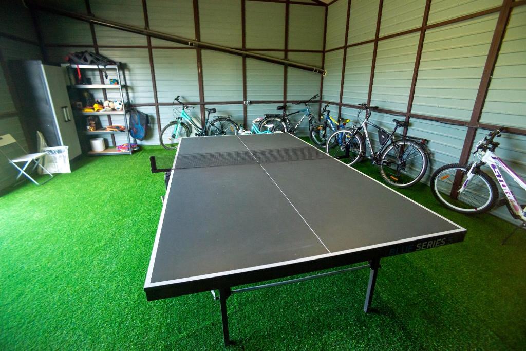 Tenis stołowy w obiekcie Agroturystyka domki nad rzeką Bałtów kajaki rowery klima basen ryby full lub pobliżu