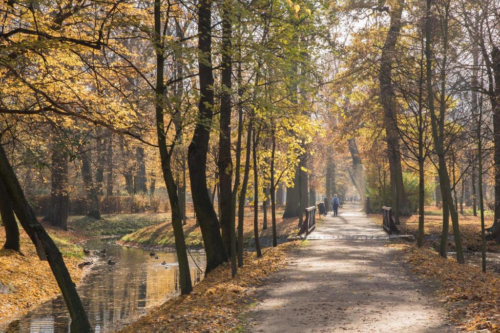 HOTEL I RESTAURACJA BROCHÓW - Resim 44