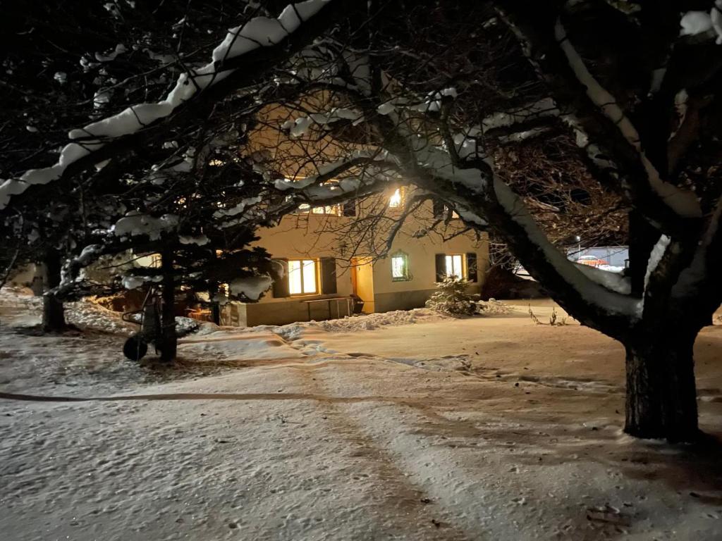 Chasa Betty - Im Garten der drei Länder v zimě