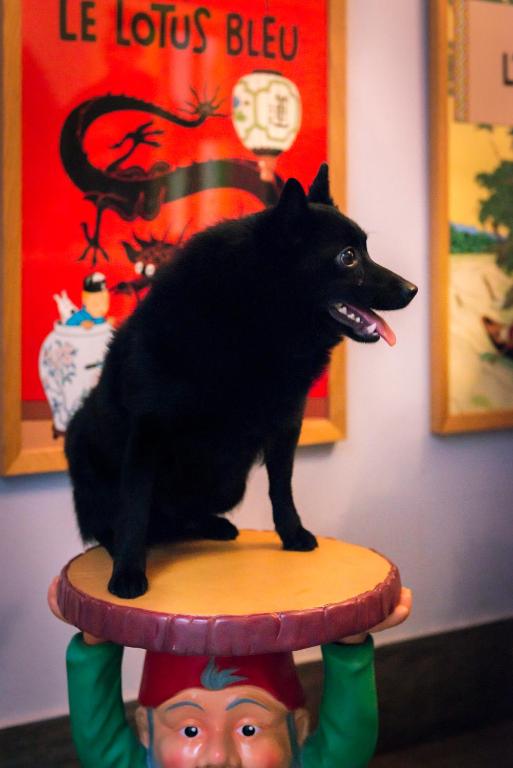 Hôtel de Roubaix - Resim 34