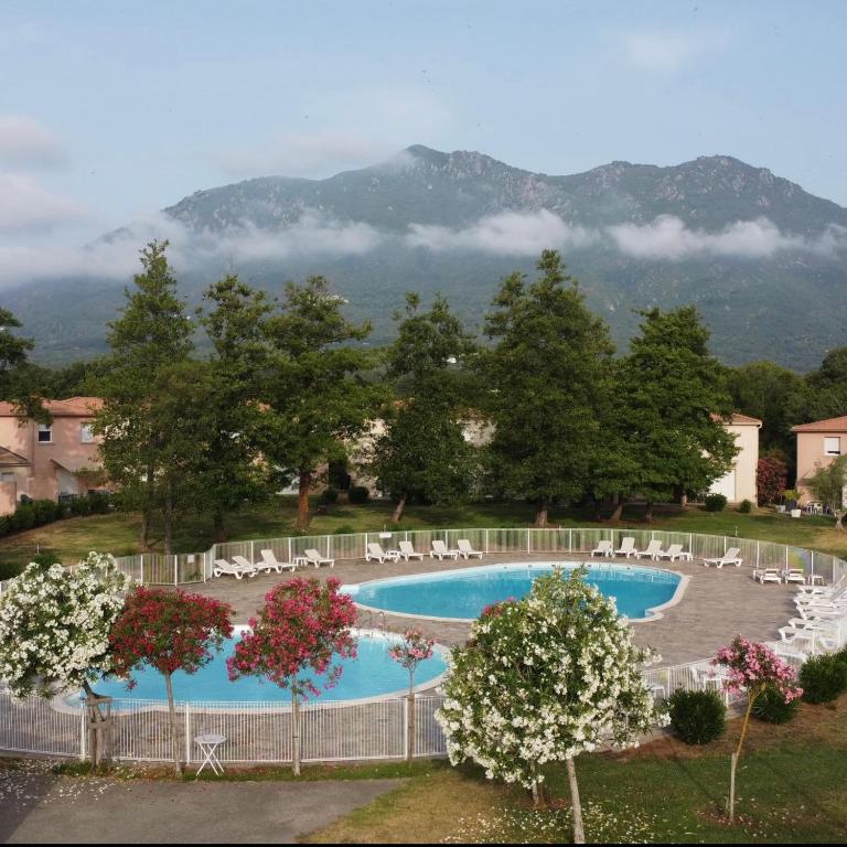 une vue sur une piscine avec des chaises et des arbres dans l'établissement Villa désirée à Santa Maria Poggio, à Santa-Maria-Poggio