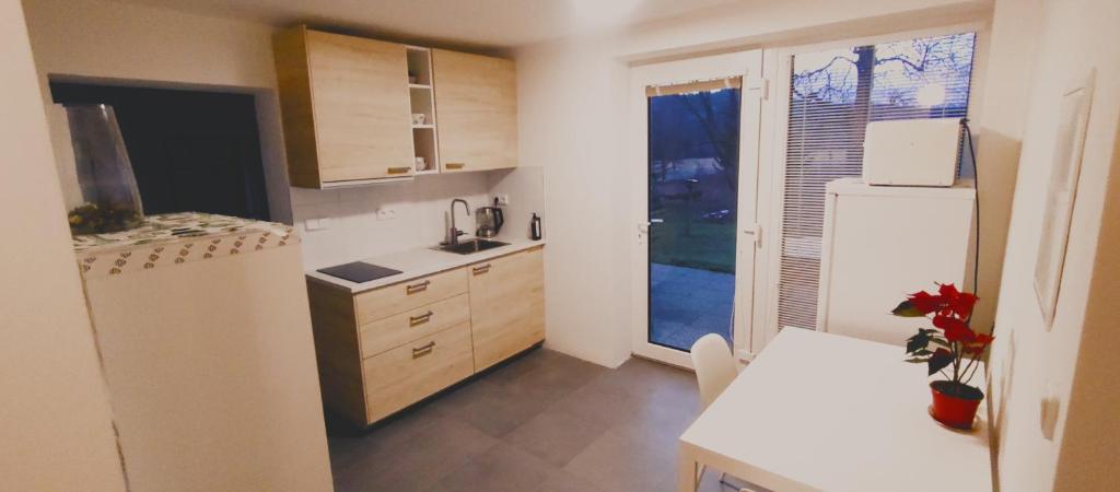 Kuchyň nebo kuchyňský kout v ubytování Apartmány Pěkná 10