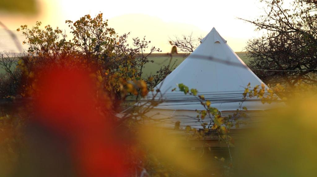 Loodusmaastik of the luxury tent lähedal