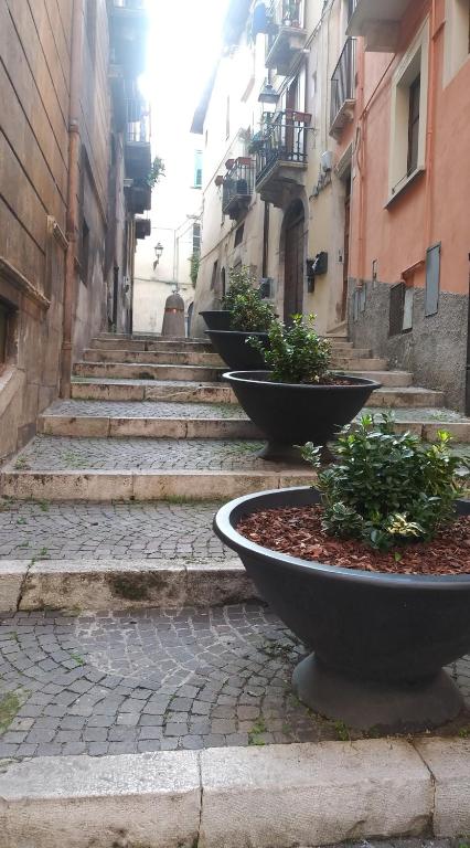 a row of steps in an alley with potted plants at Casa a Scale in Sulmona