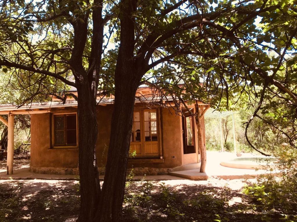 una casa con un árbol delante en Casa LaMora, en San Marcos Sierras
