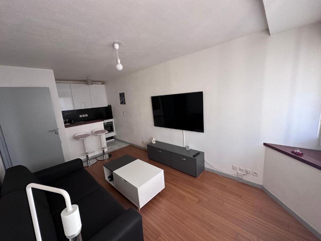 un salon avec un canapé et une télévision à écran plat dans l'établissement Appartement Bordeaux Centre Parking, à Bordeaux