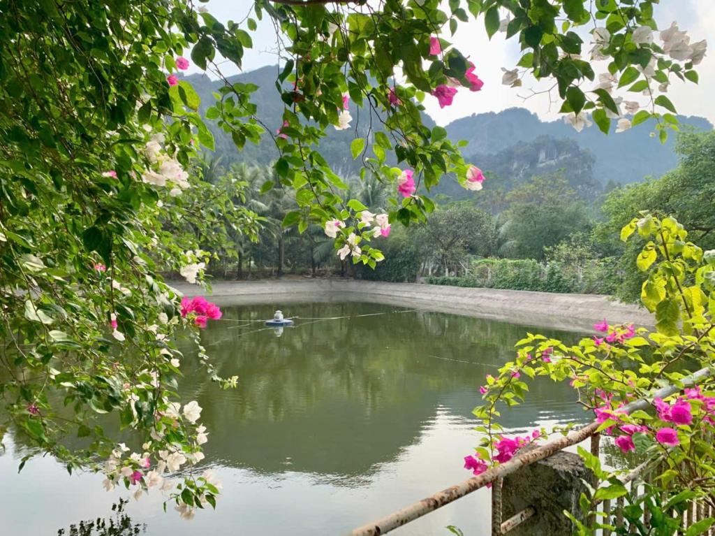 Blue Garden Homestay - 19