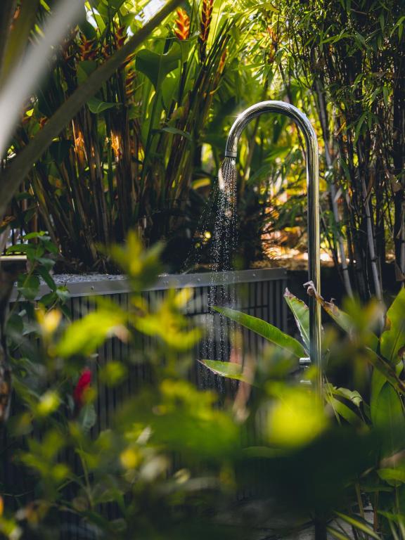 Zahrada ubytování Domaine du Cap Sauvage