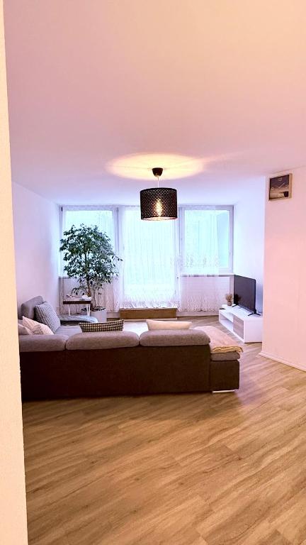 TV a/nebo společenská místnost v ubytování Cozy cove