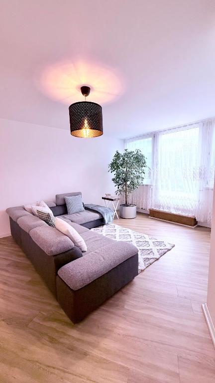 Posezení v ubytování Cozy cove
