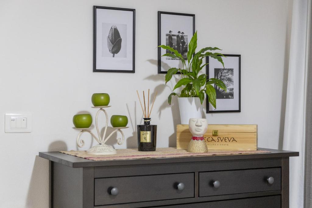 Green Valley House - 3