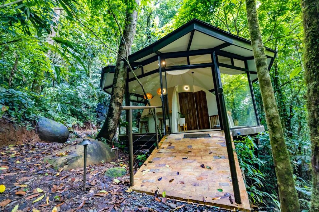 Vrt pred nastanitvijo The Nest Unique Jungle Retreat