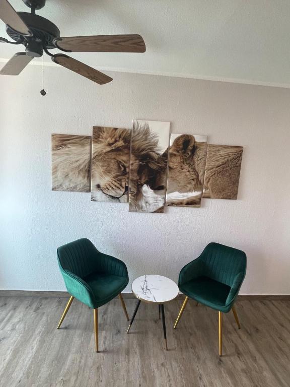 Cozy Apartment in City Center