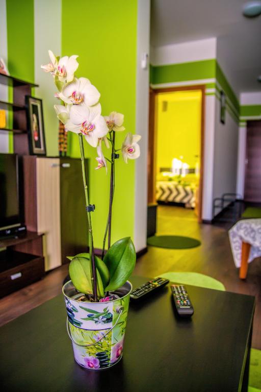 Guest House Nena Rastoke - Nature Retreat with waterfall views - 12