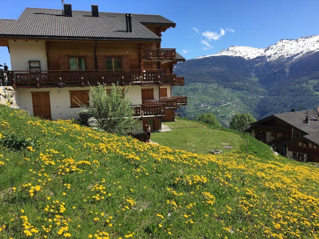 a house on a hill with a field of flowers at Thyon 4pièces, proche des pistes in Hérémence