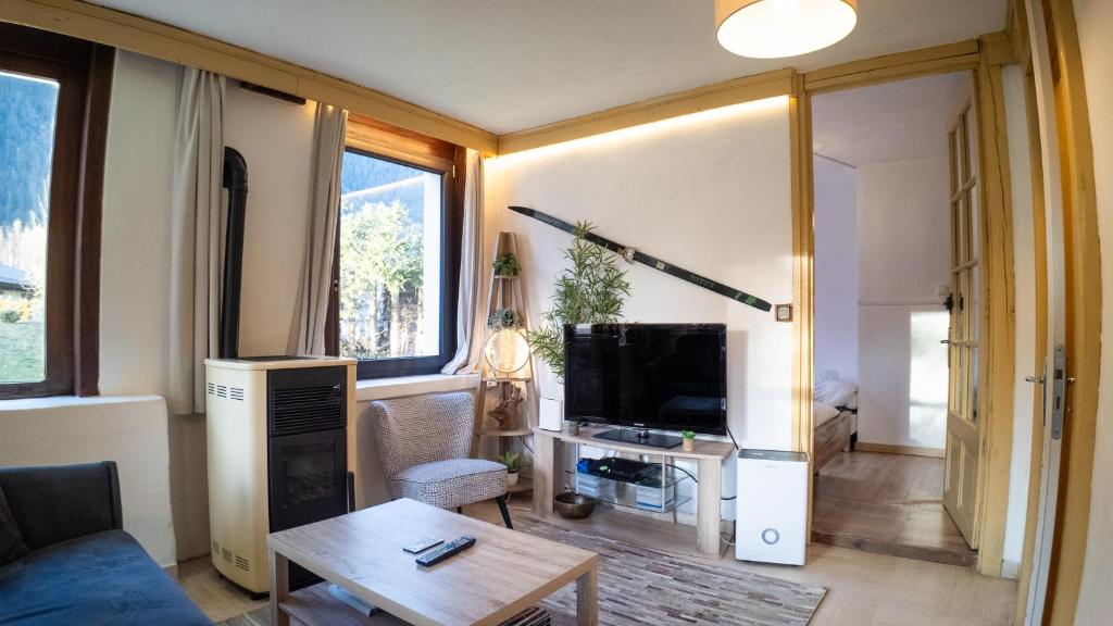 TV a/nebo společenská místnost v ubytování Chalet la Pagode, vue Mont-Blanc et jardin privé
