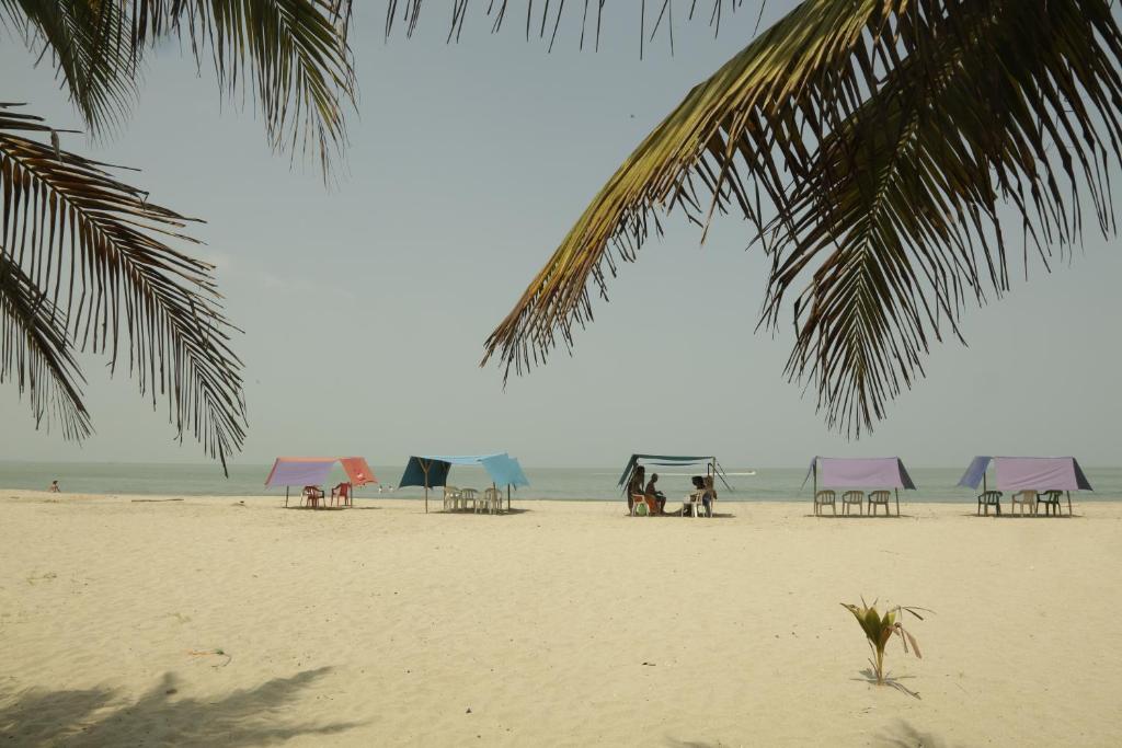 - une plage avec des chaises longues, des parasols et des personnes sur la plage dans l'établissement Casa de Playa Manecal, à Coveñas