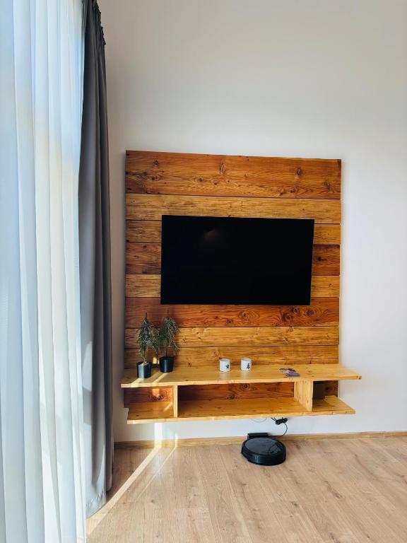 TV a/nebo společenská místnost v ubytování Evergreen Tále Apartments