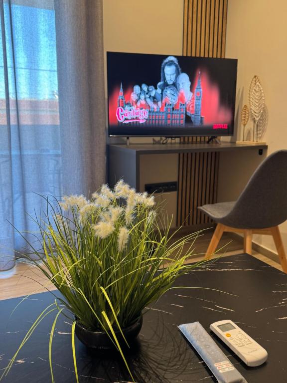 TV a/nebo společenská místnost v ubytování Apartimo A2