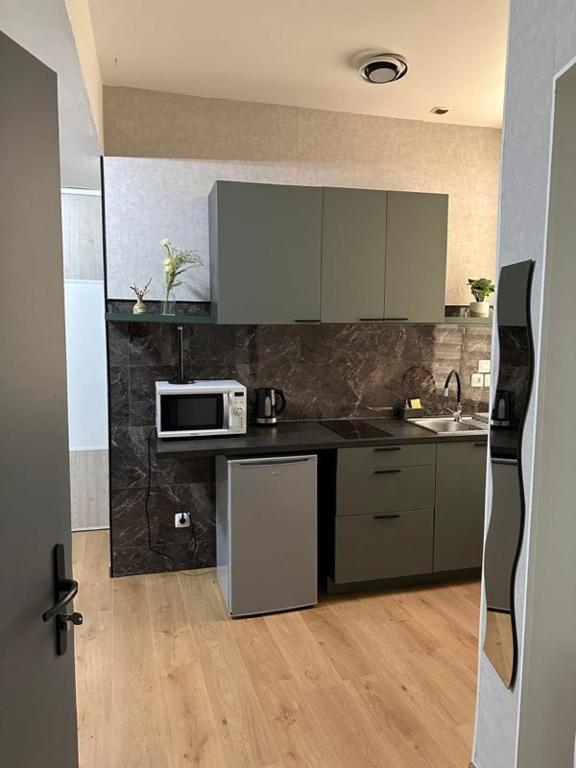 une cuisine avec un évier et un micro-ondes dans l'établissement jolie studio centre ville, à Valence