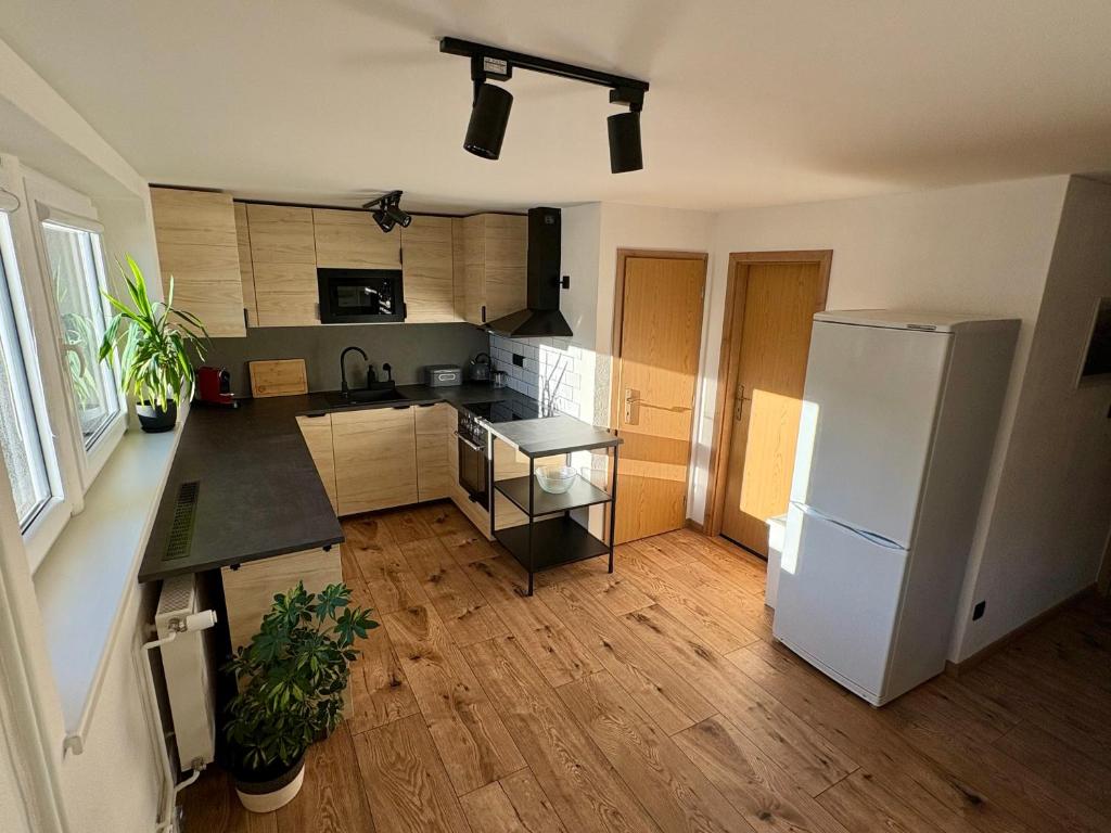 Kuchyň nebo kuchyňský kout v ubytování Apartmány Faunapark