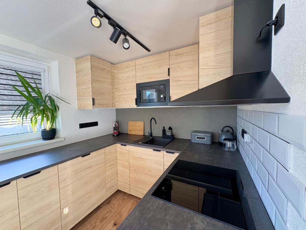 Kuchyň nebo kuchyňský kout v ubytování Apartmány Faunapark