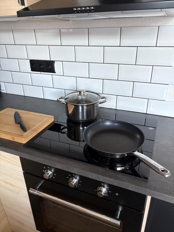 Kuchyň nebo kuchyňský kout v ubytování Apartmány Faunapark