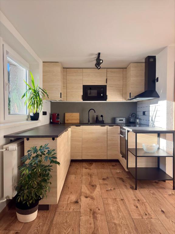 Kuchyň nebo kuchyňský kout v ubytování Apartmány Faunapark