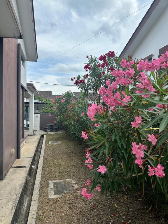 Aisy Guest House -Homestay- - Three-Bedroom House
