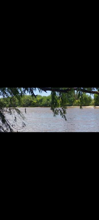 a view of a body of water with trees at La casa de Los Patitos in Arroyo de Los Patos