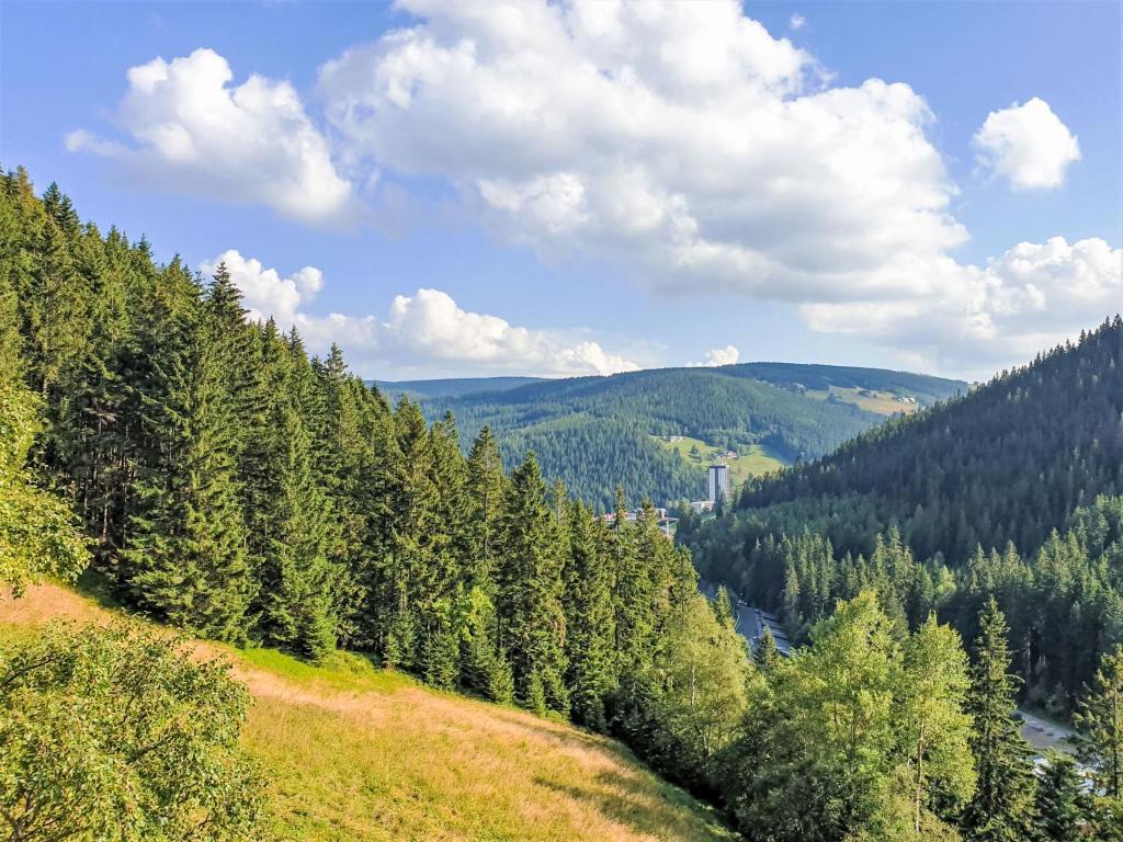 Příroda nedaleko apartmánu
