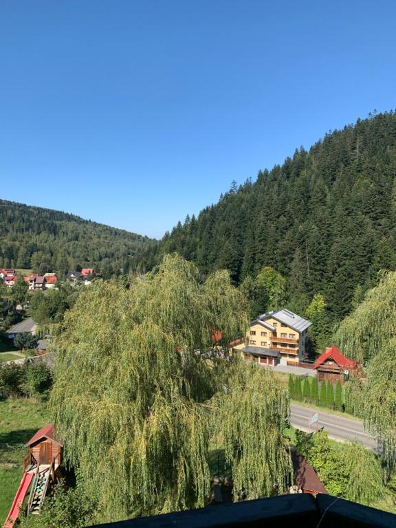 Příroda nedaleko ubytování v soukromí