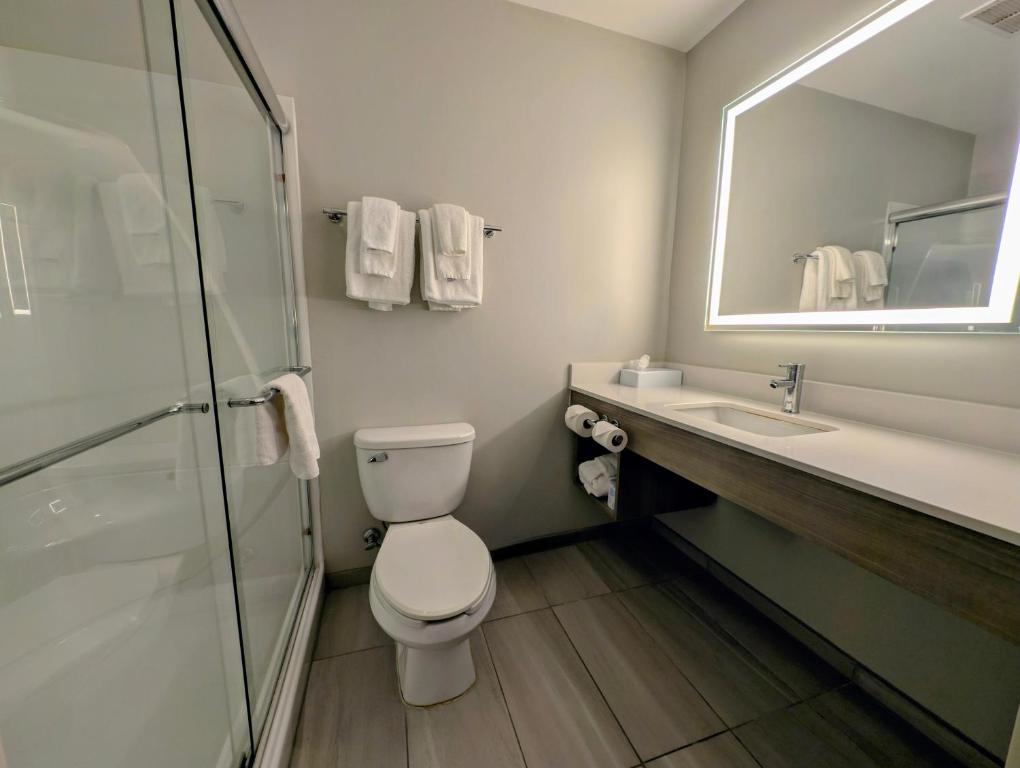 Holiday Inn Carbondale - Conference Center by IHG - Habitación Estándar