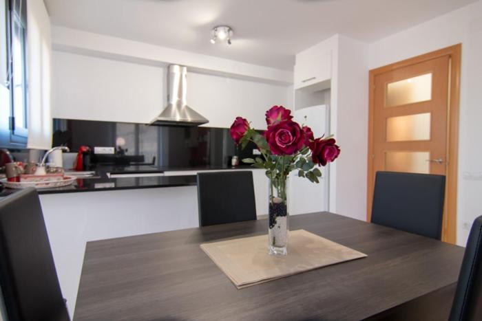 Kuchyňa alebo kuchynka v ubytovaní Apartament Bagà