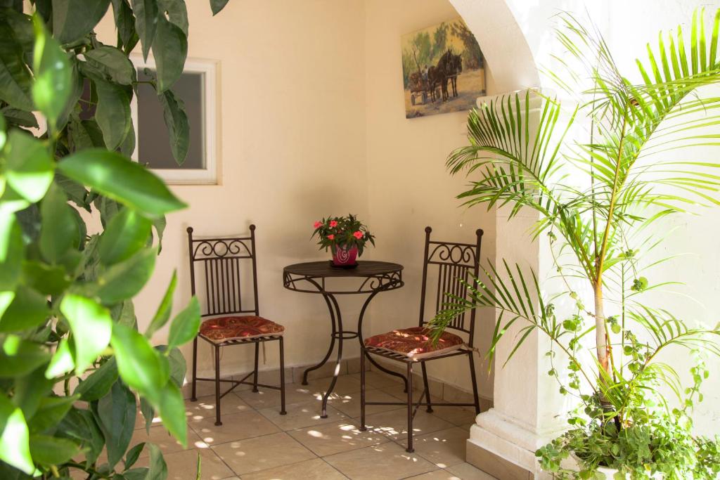 Zahrada ubytování Hotel Casa San Miguel