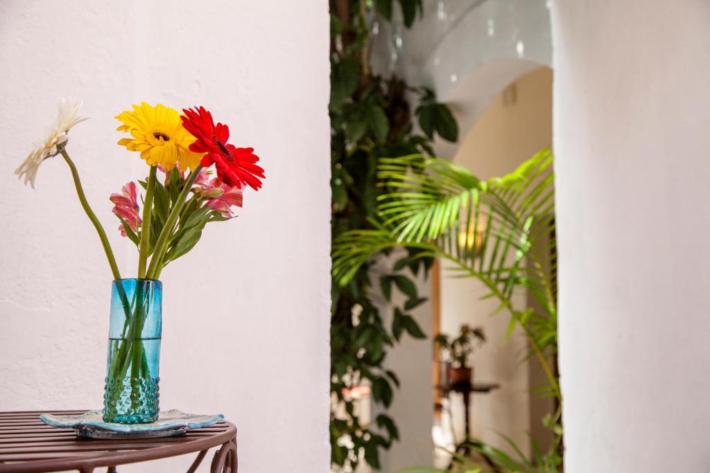 Fotografie z fotogalerie ubytování Hotel Casa San Miguel v destinaci San Miguel de Allende