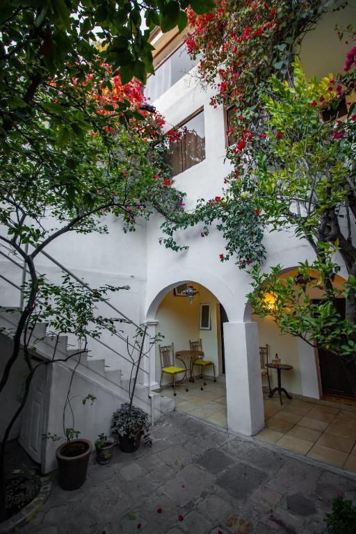 Zahrada ubytování Hotel Casa San Miguel