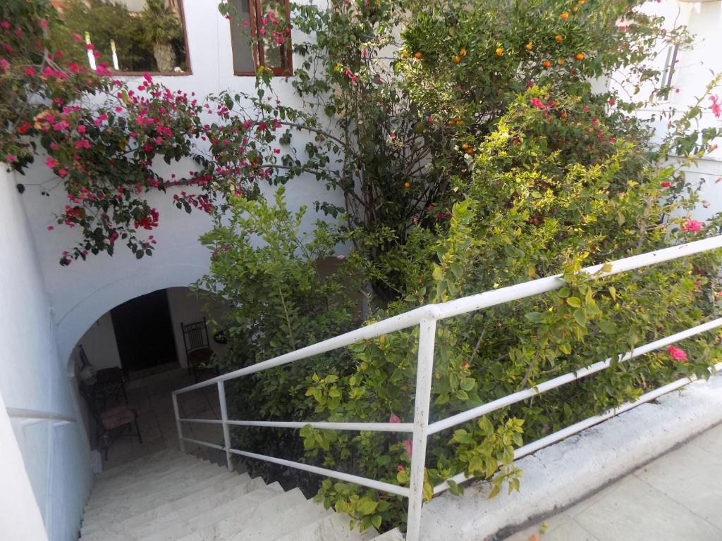 Zahrada ubytování Hotel Casa San Miguel
