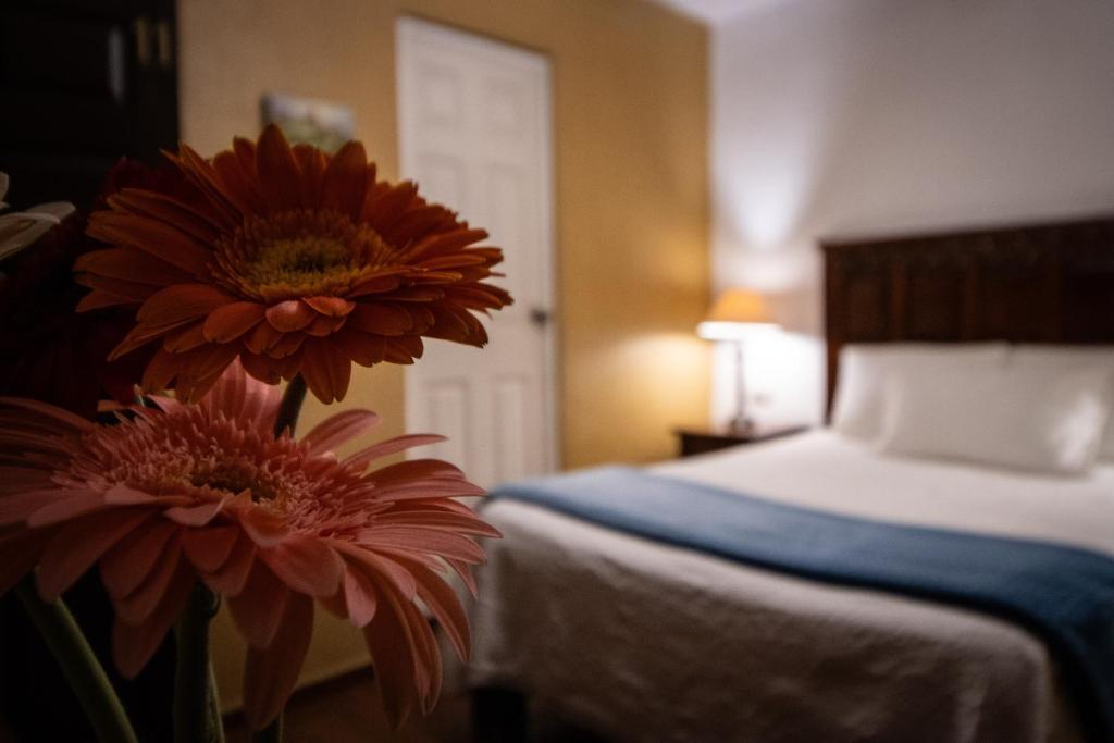 Postel nebo postele na pokoji v ubytování Hotel Casa San Miguel