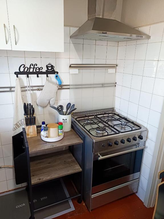 Kuchyň nebo kuchyňský kout v ubytování Areal Guest House