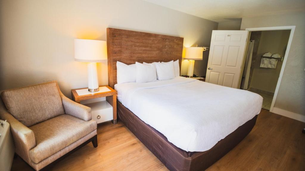 Quality Inn & Suites By the Parks - 