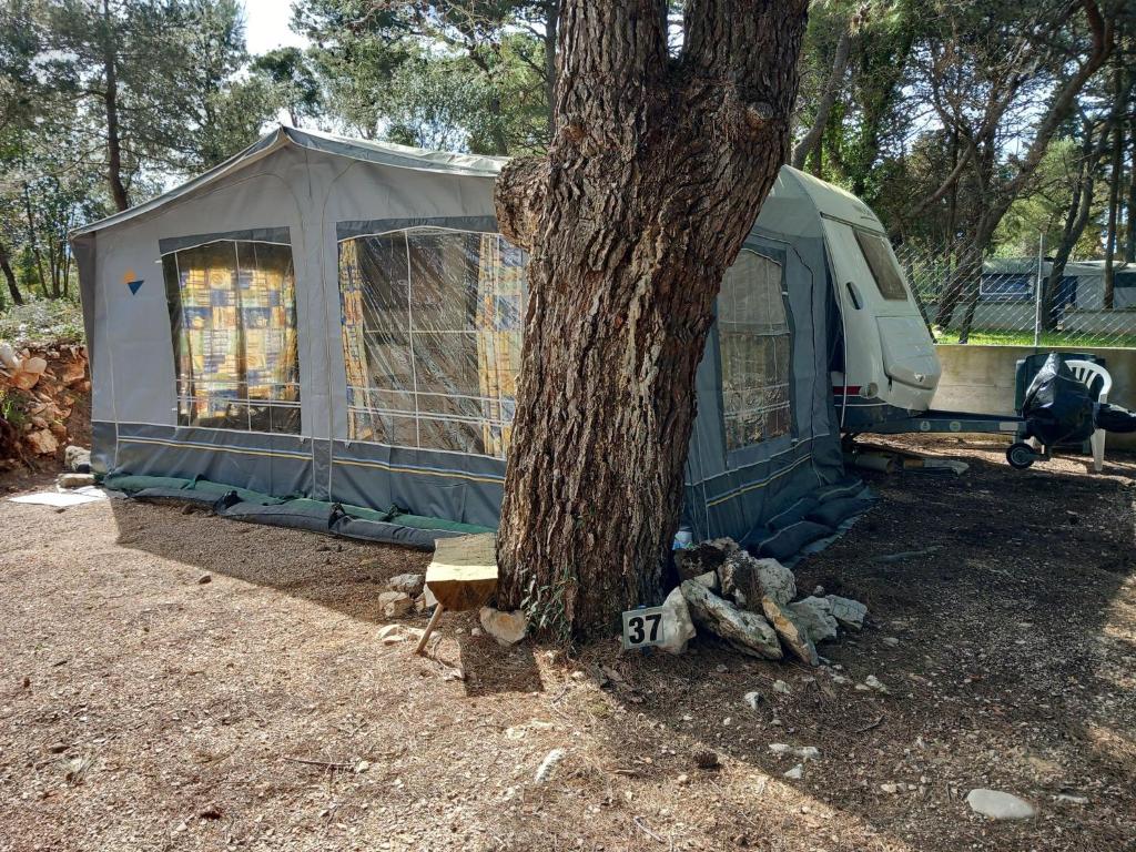 a blue tent sitting next to a tree at Caravan near the sea 4 in Ugljan