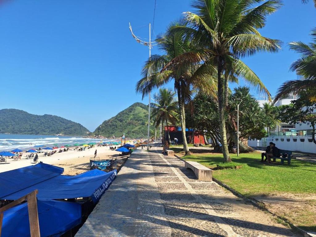 a beach with palm trees and the ocean at Anuncio teste in Guarujá