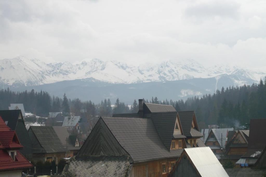 ポロニンにあるAgroturystyka Pod Lasemの雪山を背景にした一群の建物