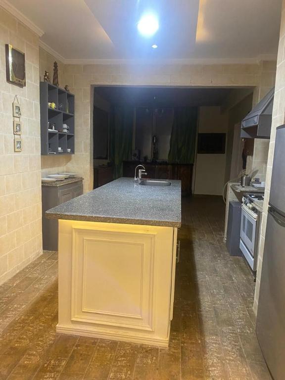 Kuchyň nebo kuchyňský kout v ubytování Luxurious apartment in Loran Alexandria 250m2