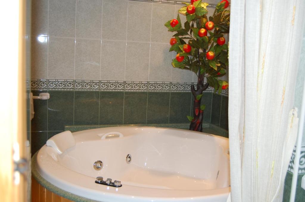 Hotel Flor de la Mancha - Bañera de hidromasaje en La Roda