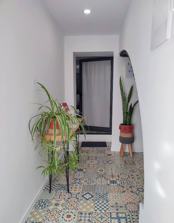 Fotografie z fotogalerie ubytování Vila Arrifes Guesthouse Upstairs v destinaci Ponta Delgada