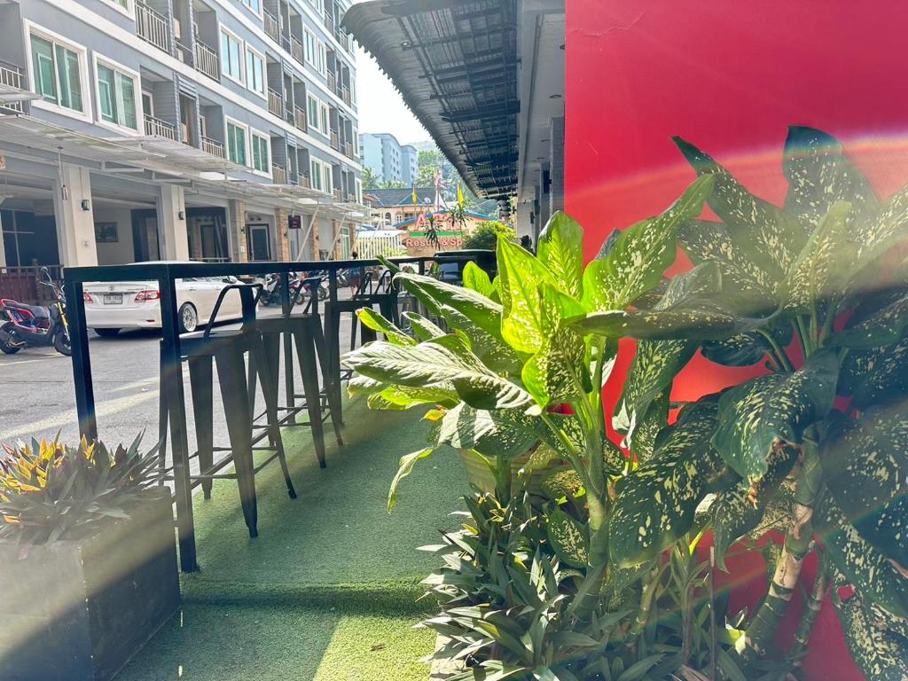 PJ Patong Resortel - Resim 29