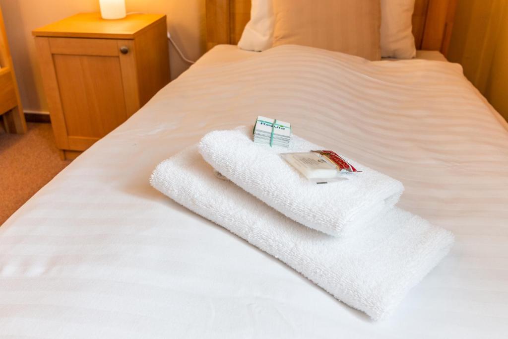 Postel nebo postele na pokoji v ubytování Hotel Franz